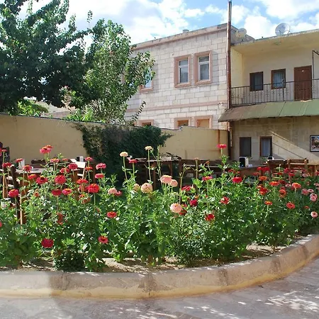 Guest house International 3*