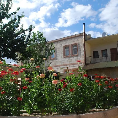 International Guest house 3*