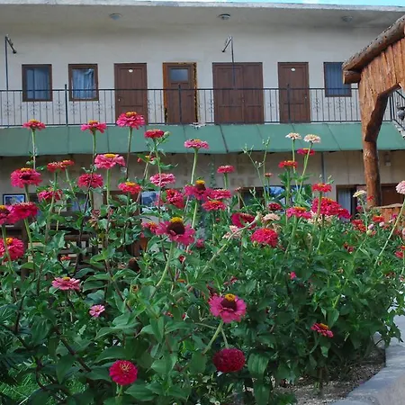 International 3* Goreme