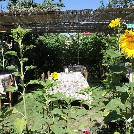 Guest house International 3*